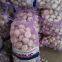 New Crop Fresh Jinxiang Normal White Garlic 5cm And Up In Mesh Bag Packing