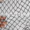 Bird Net / Anti Bird Netting/bird nets for catching birds