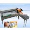 Best Sale 5400pcs/h high quality Automatic Chicken Egg Grading machine For Sale