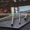 Hot sale 2.5inch 3 Inch 38mm Od Stainless Steel Pipe Tube with 3 years warranty