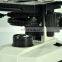 Cheap Price 1000X Optical Student Microscope/Monocular Stereo Microscope