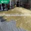 Isolated Soy Protein Powder For Meat Products Soya Bean Processing Line