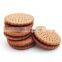Automatic Pillow Type Wrapping Machine Bread Biscuit Candy Bar Chocolate biscuits wrap machine popsicle packaging machine