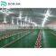 Double floor prefabricated chicken poultry farm shed