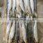 2015 Frozen Sardine wr for Fishing Bait 90-120pcs/ctn