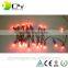 Addressable IP66 12MM Pixel Led String L ight