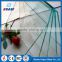 Competitive Price Safety Insulated laminated Glass Curtain Wall