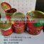 70g-3000g wholesale all sizes canned tomato paste