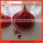 plastic automatic poultry drinker