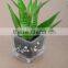 China supplier new designed potted artificial mini succulent plants for table decoration