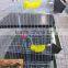 A type 6 tiers 360 layers automatic battery quail hen cage in Russia