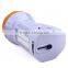 12+1 LED 2 in 1 Easy Carry Spot Lights