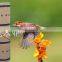 Hot sale Promotion bird cage wood bird house