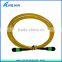 12 cores MPO/MTP 62.5/125 Multimode trunk cable assemblies
