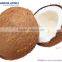 granular coconut activated carbon