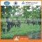 Agriculture net by Nylon / Polyester net