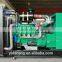 CE approved 250kw biogas generator for farm use