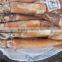 Frozen Squid 150-200g