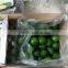 Viet Nam Seedless lime