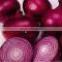 kudos egyptian fresh onion