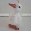 Artificial promotion accessory kiwi keyring