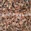 Acacia Wood Chips