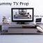 Fake Dummy decorate/LED TV Prop for furniture showroom decoration design art