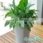 GreenSun self watering plante/interior landscaping planter,plastic plant pot, use convenient plant pot,dureble plant pots
