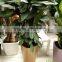 Garden flower pots/home decor plastic garden pots,plant pots,nursery pots,self-watering planter,sub irrigation flower planter