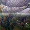 agriculture hdpe plastic woven sun shade net