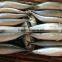 Frozen Fish Frozen Pacific Mackerel