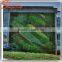 Vertical plant artificial walls plastic green wall garden for sale