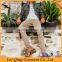 Mens 100% cotton skinny jeans new model jeans pants
