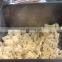 Industrial hard biscuits making machine biscuit stick finger machine