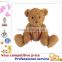 OEM Stuffed Toy,Custom Plush Toys, holding heart teddy bear