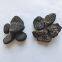 Porous Volcanic Rock Horticultural Volcanic Stone Filter Material