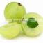 Natural Grade Amla powder Bulk Producers