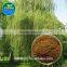 Manufacturer Pure Natural High Quality White Willow Bark Extract, White Willow Bark Extract Salicin, Salicin