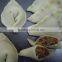 TY-503G Automatic Dumpling making Machine Made In Taiwan