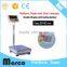 Small industry 300kg digital weighing scale