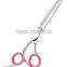 Euro Style Ergonomic handles Barber Thinning Scissors