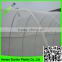 Green Vegetable Plants Trellis Insect Nets