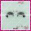 Hot sale false eyelashes mink fur lash charming wholesale