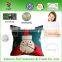2016 Hot Sale Latest Design Cheap Throw Pillows For Cover