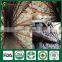 Hotsale Fresh Whole Part China Mushroom Shiitake Growing Sawdust Spawn