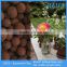 14-20mm Red Clay Balls Hydroponics,Expanded Clay Pellets