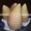 2016 new crop Canned Bamboo Shoot 2950gram