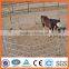 New Product Galavanized Metal Livestock Farm Fence(Manufacturer)