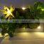 Brand-new design artificial succulent photo frame with led lights for sale