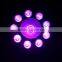 Cheap led stage lighting 80W led flat par can 9pcs*3w + 1pc*30w LED par light